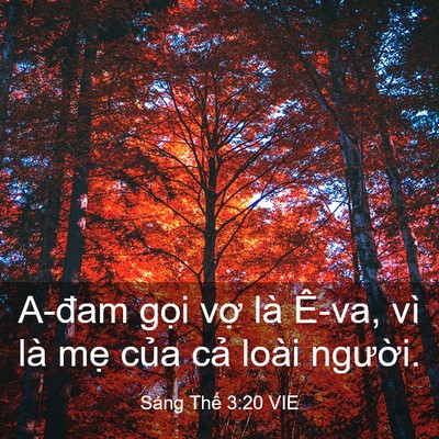 Picture 03 - Sáng Thế 3:20 VIE - A-đam gọi vợ là Ê-va, vì là mẹ của - Bible Verse Picture