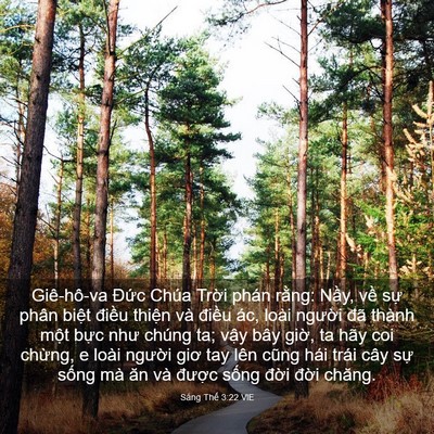 Picture 03 - Sáng Thế 3:22 VIE - Giê-hô-va Đức Chúa Trời phán rằng: - Bible Verse Picture