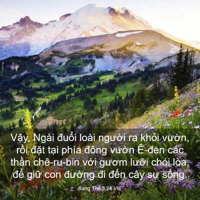 Picture 03 - Sáng Thế 3:24 VIE - Vậy, Ngài đuổi loài người ra khỏi - Bible Verse Picture