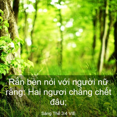 Picture 03 - Sáng Thế 3:4 VIE - Rắn bèn nói với người nữ rằng: Hai - Bible Verse Picture