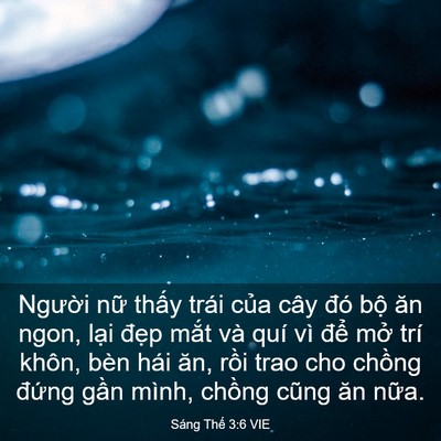 Picture 03 - Sáng Thế 3:6 VIE - Người nữ thấy trái của cây đó bộ - Bible Verse Picture