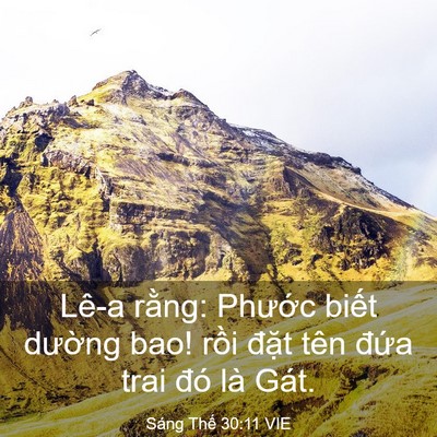 Picture 03 - Sáng Thế 30:11 VIE - Lê-a rằng: Phước biết dường bao! rồi - Bible Verse Picture