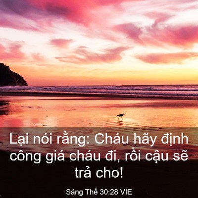 Picture 03 - Sáng Thế 30:28 VIE - Lại nói rằng: Cháu hãy định công giá - Bible Verse Picture
