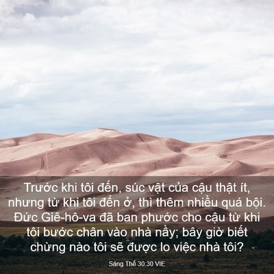 Picture 03 - Sáng Thế 30:30 VIE - Trước khi tôi đến, súc vật của cậu - Bible Verse Picture