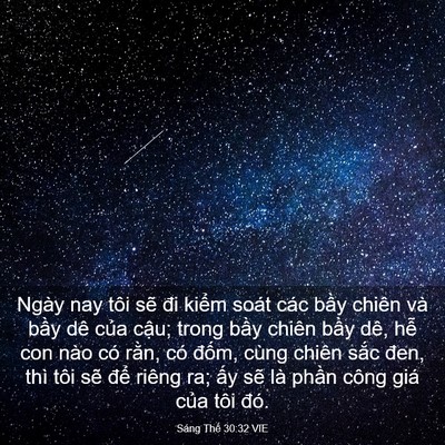 Picture 03 - Sáng Thế 30:32 VIE - Ngày nay tôi sẽ đi kiểm soát các bầy - Bible Verse Picture