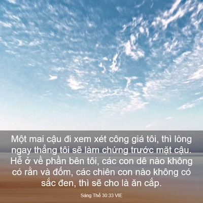 Picture 03 - Sáng Thế 30:33 VIE - Một mai cậu đi xem xét công giá tôi, - Bible Verse Picture