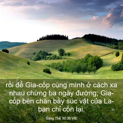 Picture 03 - Sáng Thế 30:36 VIE - rồi để Gia-cốp cùng mình ở cách xa - Bible Verse Picture