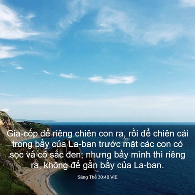 Picture 03 - Sáng Thế 30:40 VIE - Gia-cốp để riêng chiên con ra, rồi để - Bible Verse Picture