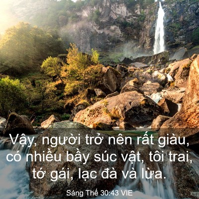 Picture 03 - Sáng Thế 30:43 VIE - Vậy, người trở nên rất giàu, có - Bible Verse Picture