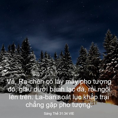 Picture 03 - Sáng Thế 31:34 VIE - Vả, Ra-chên có lấy mấy pho tượng đó, - Bible Verse Picture