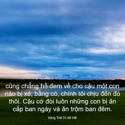 Picture 03 - Sáng Thế 31:39 VIE - cũng chẳng hề đem về cho cậu một con - Bible Verse Picture