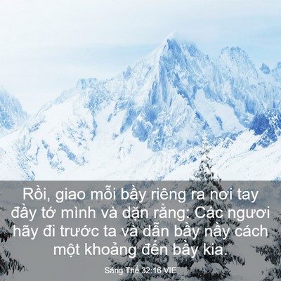 Picture 03 - Sáng Thế 32:16 VIE - Rồi, giao mỗi bầy riêng ra nơi tay đầy - Bible Verse Picture