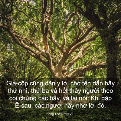 Picture 03 - Sáng Thế 32:19 VIE - Gia-cốp cũng dặn y lời cho tên dẫn - Bible Verse Picture