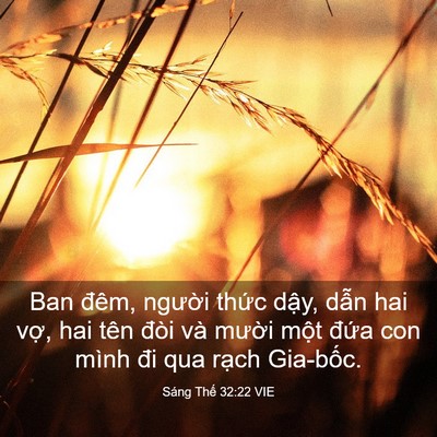 Picture 03 - Sáng Thế 32:22 VIE - Ban đêm, người thức dậy, dẫn hai vợ, - Bible Verse Picture