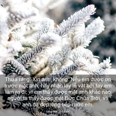 Picture 03 - Sáng Thế 33:10 VIE - Thưa rằng: Xin anh, không. Nếu em được - Bible Verse Picture