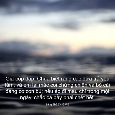 Picture 03 - Sáng Thế 33:13 VIE - Gia-cốp đáp: Chúa biết rằng các đứa - Bible Verse Picture