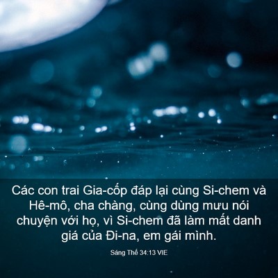 Picture 03 - Sáng Thế 34:13 VIE - Các con trai Gia-cốp đáp lại cùng Si-chem - Bible Verse Picture