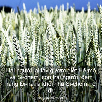Picture 03 - Sáng Thế 34:26 VIE - Hai người lại lấy gươm giết Hê-mô - Bible Verse Picture