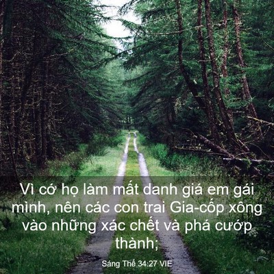 Picture 03 - Sáng Thế 34:27 VIE - Vì cớ họ làm mất danh giá em gái mình, - Bible Verse Picture