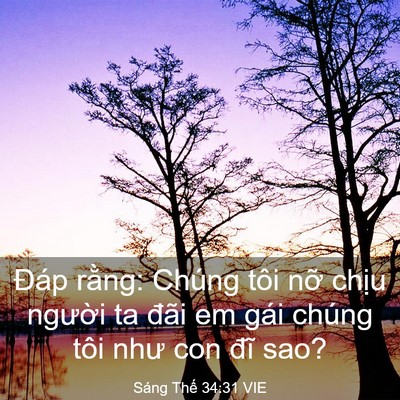 Picture 03 - Sáng Thế 34:31 VIE - Đáp rằng: Chúng tôi nỡ chịu người ta - Bible Verse Picture