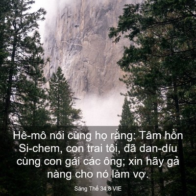 Picture 03 - Sáng Thế 34:8 VIE - Hê-mô nói cùng họ rằng: Tâm hồn - Bible Verse Picture