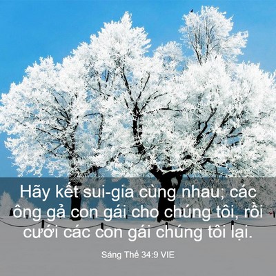 Picture 03 - Sáng Thế 34:9 VIE - Hãy kết sui-gia cùng nhau; các ông gả con - Bible Verse Picture