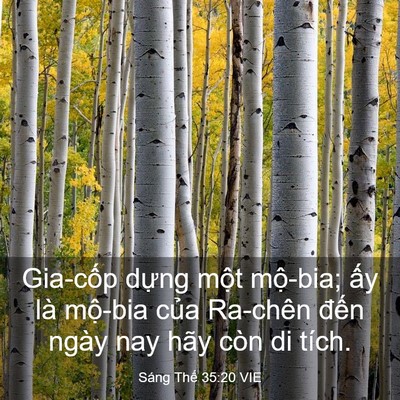 Picture 03 - Sáng Thế 35:20 VIE - Gia-cốp dựng một mộ-bia; ấy là - Bible Verse Picture