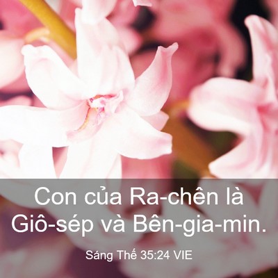 Picture 03 - Sáng Thế 35:24 VIE - Con của Ra-chên là Giô-sép và - Bible Verse Picture