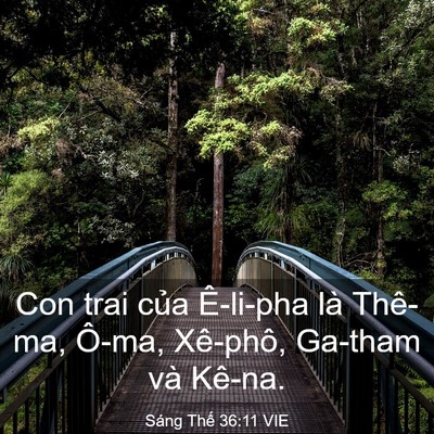 Picture 03 - Sáng Thế 36:11 VIE - Con trai của Ê-li-pha là Thê-ma, Ô-ma, - Bible Verse Picture