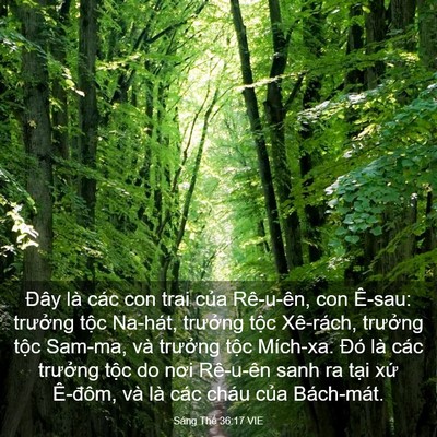 Picture 03 - Sáng Thế 36:17 VIE - Đây là các con trai của Rê-u-ên, con - Bible Verse Picture