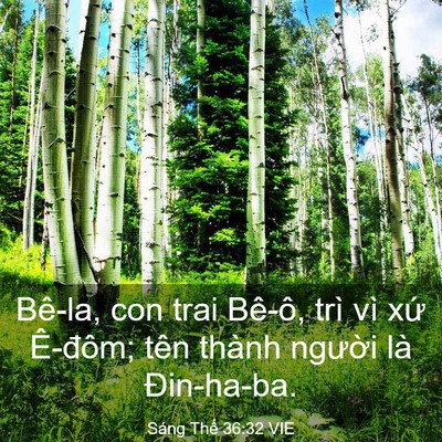 Picture 03 - Sáng Thế 36:32 VIE - Bê-la, con trai Bê-ô, trì vì xứ Ê-đôm; - Bible Verse Picture