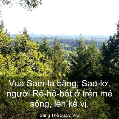Picture 03 - Sáng Thế 36:37 VIE - Vua Sam-la băng, Sau-lơ, người Rê-hô-bốt - Bible Verse Picture