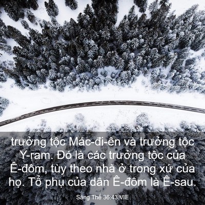 Picture 03 - Sáng Thế 36:43 VIE - trưởng tộc Mác-đi-ên và trưởng tộc - Bible Verse Picture