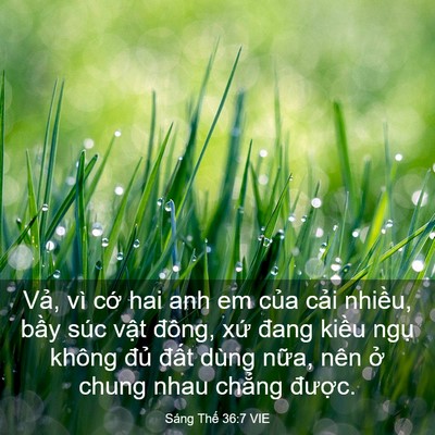 Picture 03 - Sáng Thế 36:7 VIE - Vả, vì cớ hai anh em của cải nhiều, - Bible Verse Picture