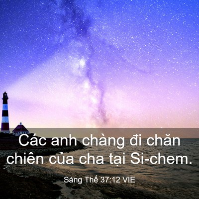 Picture 03 - Sáng Thế 37:12 VIE - Các anh chàng đi chăn chiên của cha tại - Bible Verse Picture