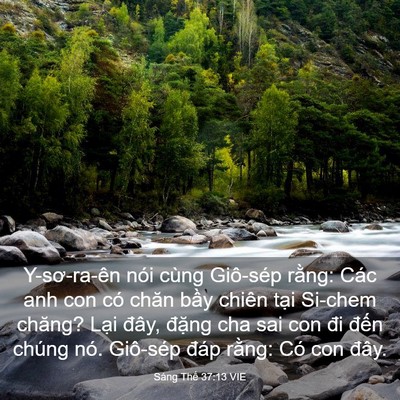 Picture 03 - Sáng Thế 37:13 VIE - Y-sơ-ra-ên nói cùng Giô-sép rằng: Các - Bible Verse Picture