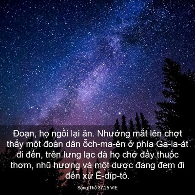 Picture 03 - Sáng Thế 37:25 VIE - Đoạn, họ ngồi lại ăn. Nhướng mắt - Bible Verse Picture