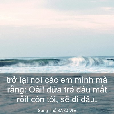 Picture 03 - Sáng Thế 37:30 VIE - trở lại nơi các em mình mà rằng: Oâi! - Bible Verse Picture