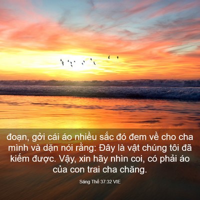 Picture 03 - Sáng Thế 37:32 VIE - đoạn, gởi cái áo nhiều sắc đó đem - Bible Verse Picture