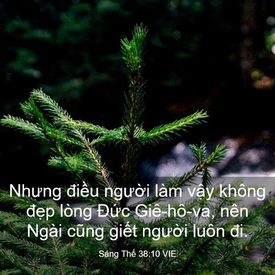 Picture 03 - Sáng Thế 38:10 VIE - Nhưng điều người làm vậy không đẹp - Bible Verse Picture