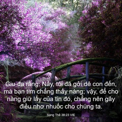 Picture 03 - Sáng Thế 38:23 VIE - Giu-đa rằng: Nầy, tôi đã gởi dê con - Bible Verse Picture