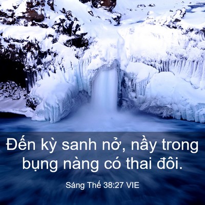 Picture 03 - Sáng Thế 38:27 VIE - Đến kỳ sanh nở, nầy trong bụng nàng - Bible Verse Picture