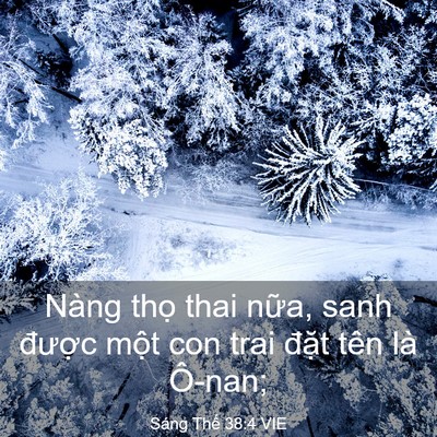 Picture 03 - Sáng Thế 38:4 VIE - Nàng thọ thai nữa, sanh được một con - Bible Verse Picture