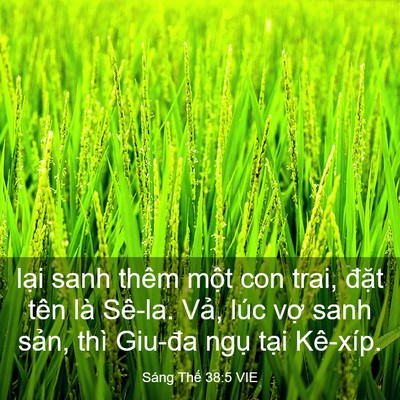 Picture 03 - Sáng Thế 38:5 VIE - lại sanh thêm một con trai, đặt tên là - Bible Verse Picture