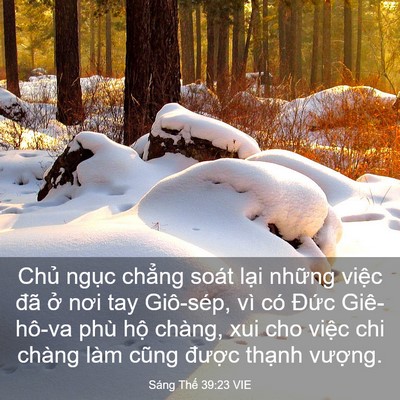 Picture 03 - Sáng Thế 39:23 VIE - Chủ ngục chẳng soát lại những việc - Bible Verse Picture