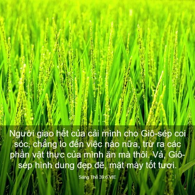 Picture 03 - Sáng Thế 39:6 VIE - Người giao hết của cải mình cho - Bible Verse Picture