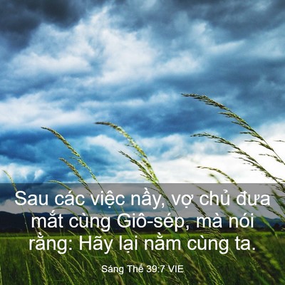 Picture 03 - Sáng Thế 39:7 VIE - Sau các việc nầy, vợ chủ đưa mắt - Bible Verse Picture