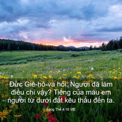 Picture 03 - Sáng Thế 4:10 VIE - Đức Giê-hô-va hỏi: Ngươi đã làm - Bible Verse Picture