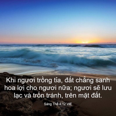Picture 03 - Sáng Thế 4:12 VIE - Khi ngươi trồng tỉa, đất chẳng sanh - Bible Verse Picture