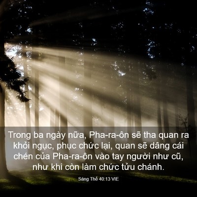 Picture 03 - Sáng Thế 40:13 VIE - Trong ba ngày nữa, Pha-ra-ôn sẽ tha quan ra - Bible Verse Picture